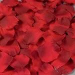 Rosenblütenblätter