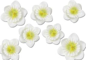 Streublumen für Dekorationen Für fast jeden...