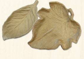 Pappschalen