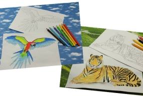 Ausmalbilder | Malvorlagen