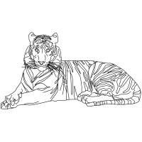 Malvorlage Tiger
