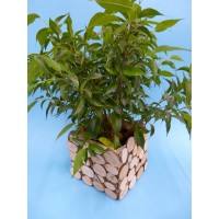 Diy Holzprojekte - ein langlebiges...