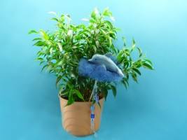 Delfin basteln