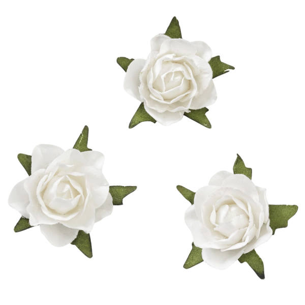 Rosenköpfe weiß