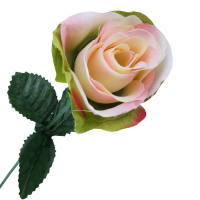 Rose creme rosa Ø 5 cm, 35 cm lang Seidenblume...