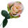 Rose creme rosa Ø 5 cm, 35 cm lang Seidenblume Kunstblume