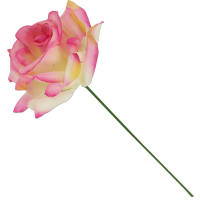 Rose rosa pink creme Ø 9 cm, 26 cm lang 1...