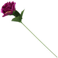 Rose violett Ø 5 cm 35 cm lang 1...
