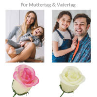 Rose rosa Ø ca. 6 cm, ca 26 cm lang 1 Stück Seidenblume Kunstblume
