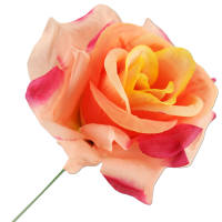Rose orange rosa Ø 9 cm, 26 cm lang 1 Stück...