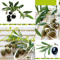 Papierservietten olivgrün Motivservietten Oliven...