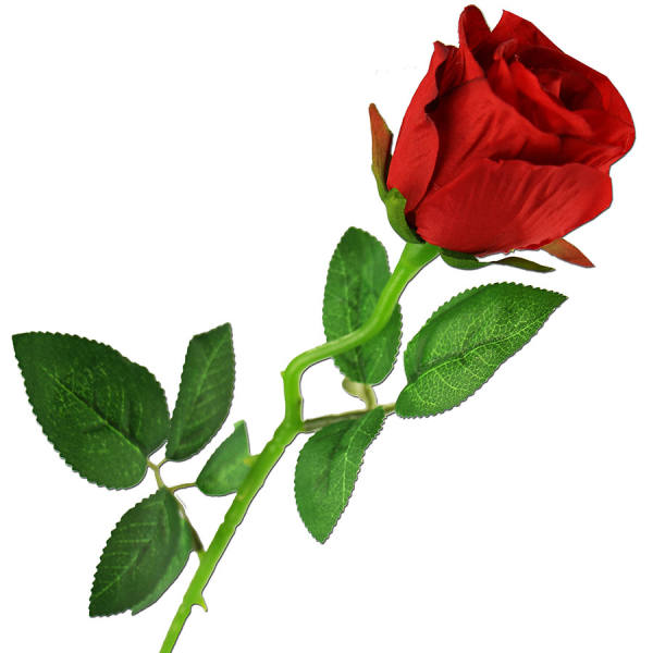 Rose Kunstblume Seidenblume Ø cm rot cm 5 50 Rose lang