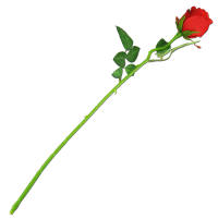 Rose rot Ø 5 cm Seidenblume 50 cm lang Kunstblume...