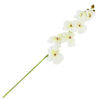 Orchidee creme, 50 cm lang Kunstblume Seidenblume 1...