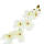Orchidee creme, 50 cm lang Kunstblume Seidenblume 1 Stück