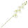 Orchidee creme, 50 cm lang Kunstblume Seidenblume 1 Stück