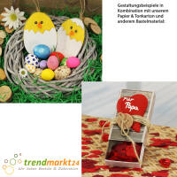 Tonpapier mittelblau / pazifik, 50x70cm, 10 Bögen,...