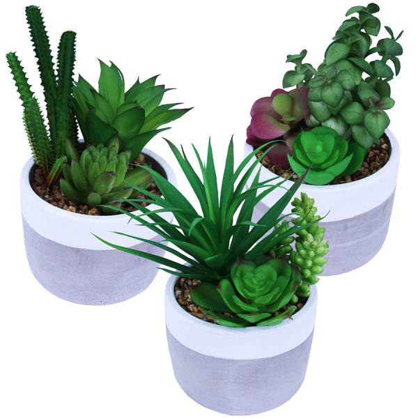 Sukkulente 3er Set groß im Beton Blumentopf Ø 10 x 19 cm Kunstblumen