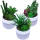 Sukkulente 3er Set groß im Beton Blumentopf Ø 10 x 19 cm Kunstblumen