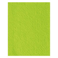 Bastelfilz stark in hellgrün, 30 x 45 cm, 1 Bogen,...