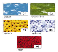 Motivkarton Blumen, 5 Motive, 10 Bögen, 270 g m², 50 x 70 cm