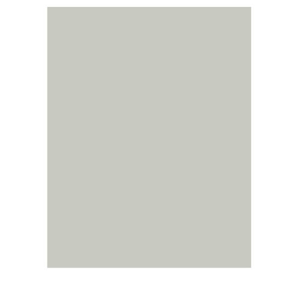 Tonkarton hellgrau 100 Blatt, DIN A4, 220g/m²