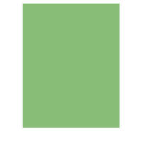 Fotokarton grasgrün 50 Blatt 300g/m² A4 | 21 x 29,7 cm