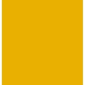 Plakatkarton gold, 48 x 68 cm, 10 Bogen, 380 g m²
