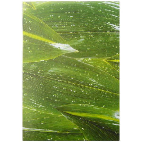 Transparentpapier Regentropfen, 5 Blatt, 23x33 cm
