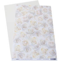 Motivkarton Weiße Rosen, 200 g/m², DIN A4, 5 Blatt