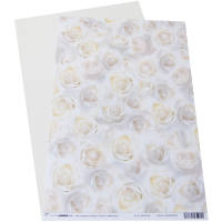 Motivkarton Weiße Rosen, 200 g/m², DIN A4, 5...