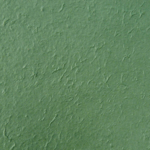 Maulbeerbaumpapier tannengrün, 38,5x51 cm, 10 Bogen
