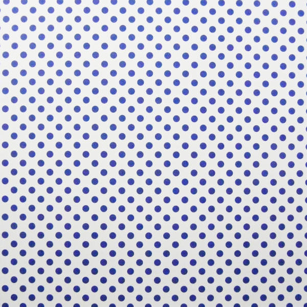 Fotokarton weiß mit blauen Punkten 50x70 cm, 10 Bogen