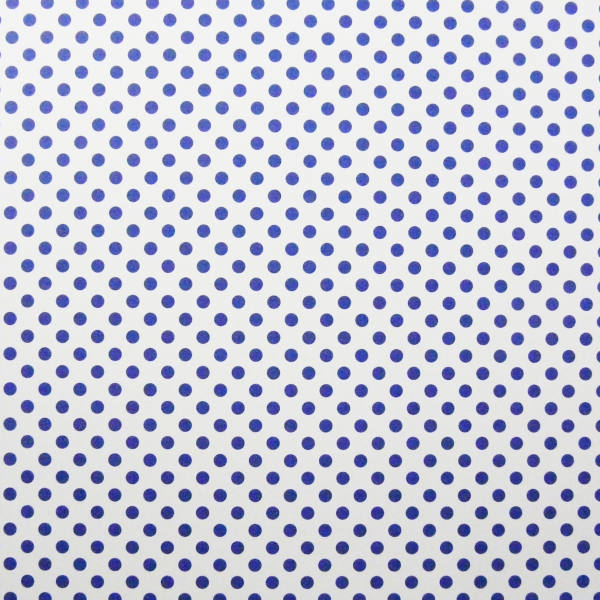 Fotokarton weiß mit blauen Punkten 50x70 cm, 10 Bogen