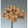 Diorröschen gold, ø 15 mm, 1 Bund