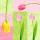 Papierservietten Tulpen, 3-lagig, 33x33 cm, 20 Stück
