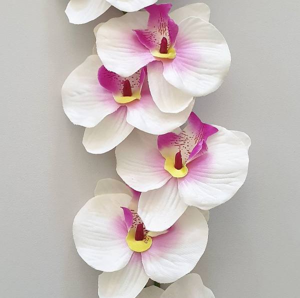 Orchidee wei-pink, 50 cm | Fabelhafte Kunstblumen