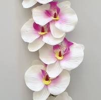 Orchidee weiß-pink, 50 cm lang Seidenblume...
