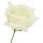 Rose creme Ø 7 - 8 cm, 27 cm lang Seidenblume 1 Stück Kunstblume