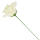 Rose creme Ø 7 - 8 cm, 27 cm lang Seidenblume 1 Stück Kunstblume