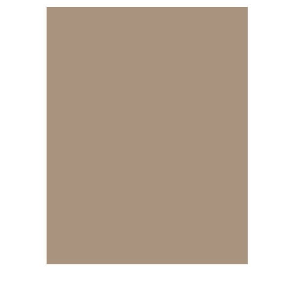 Fotokarton cappuccino 50 Blatt 300g/m² A4 | 21 x 29,7 cm