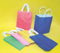 Papiertüten groß, 20 Stück, 24 x 12 x 31 cm, 110 g/m² Tragetaschen
