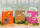 Papiertragetasche pink 6er Pack mit Flachhenkel 18x22 cm