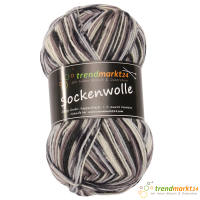 Wolle Set Mix Herbst grau / braun 4fädig Sockenwolle je 100g ( 200g insgesamt )