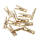 Holzklammern 12er Pack mini 2,5 cm lang Miniklammer